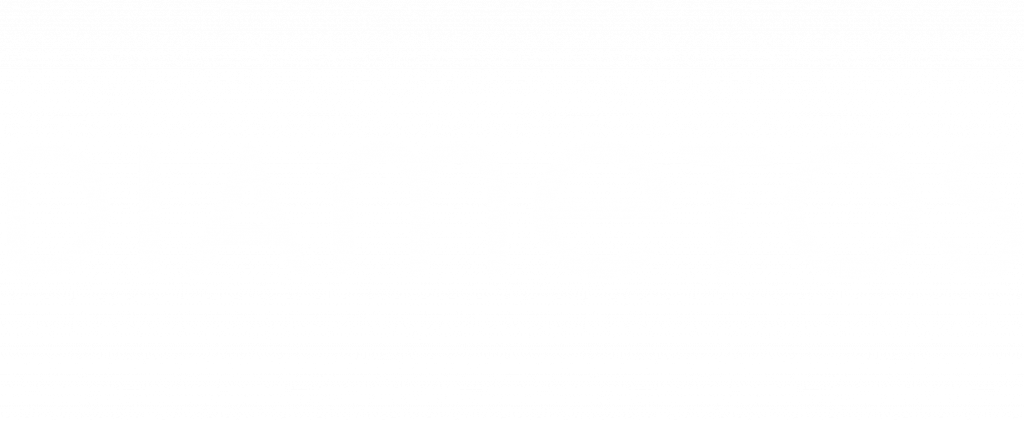 Diametos Company Logo in transparent-weiß